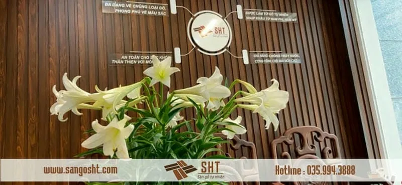 Sàn gỗ tự nhiên SHT - Sàn gỗ Top 1 Miền Bắc