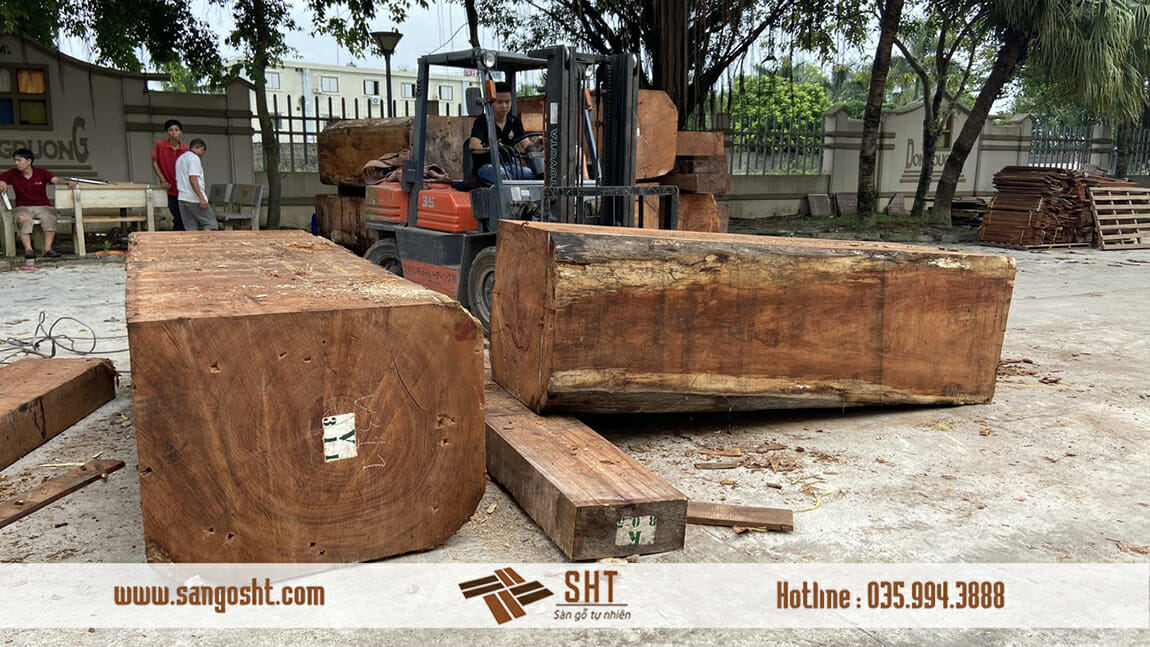 Gỗ nguyên liệu sản xuất sàn gỗ