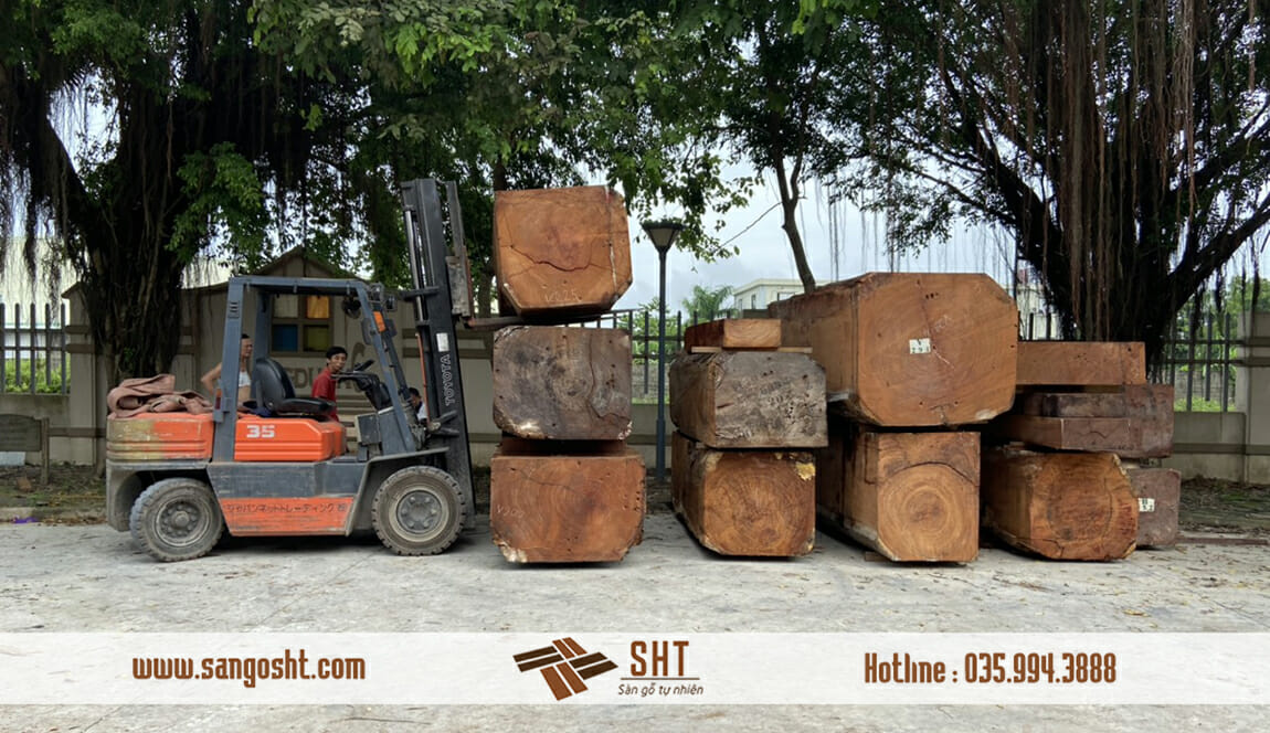 Nguồn nguyên liệu gỗ tự nhiên
