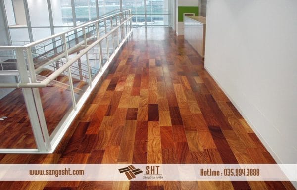 san go huong do nam phi sht