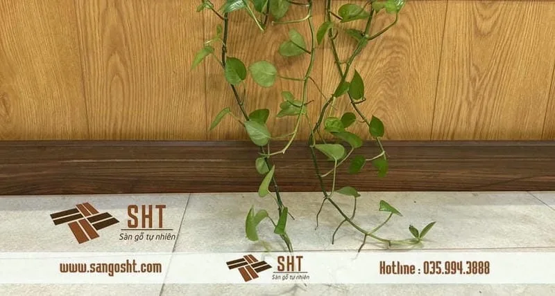Thế Nào Là Ván Sàn Gỗ Tự Nhiên ?