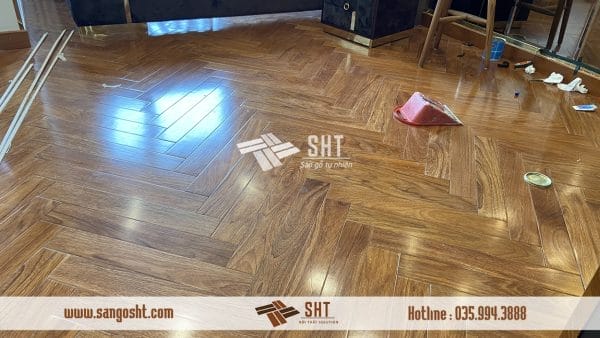 san go go do xuong ca sht