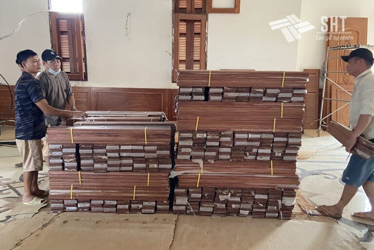 san go cam trac ha dong sht 4