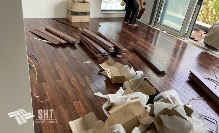 san go cam lai sht 3 optimized